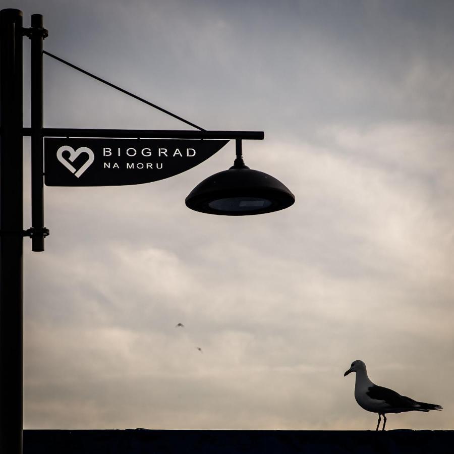 Apartmani Dina ビオグラード・ナ・モル エクステリア 写真